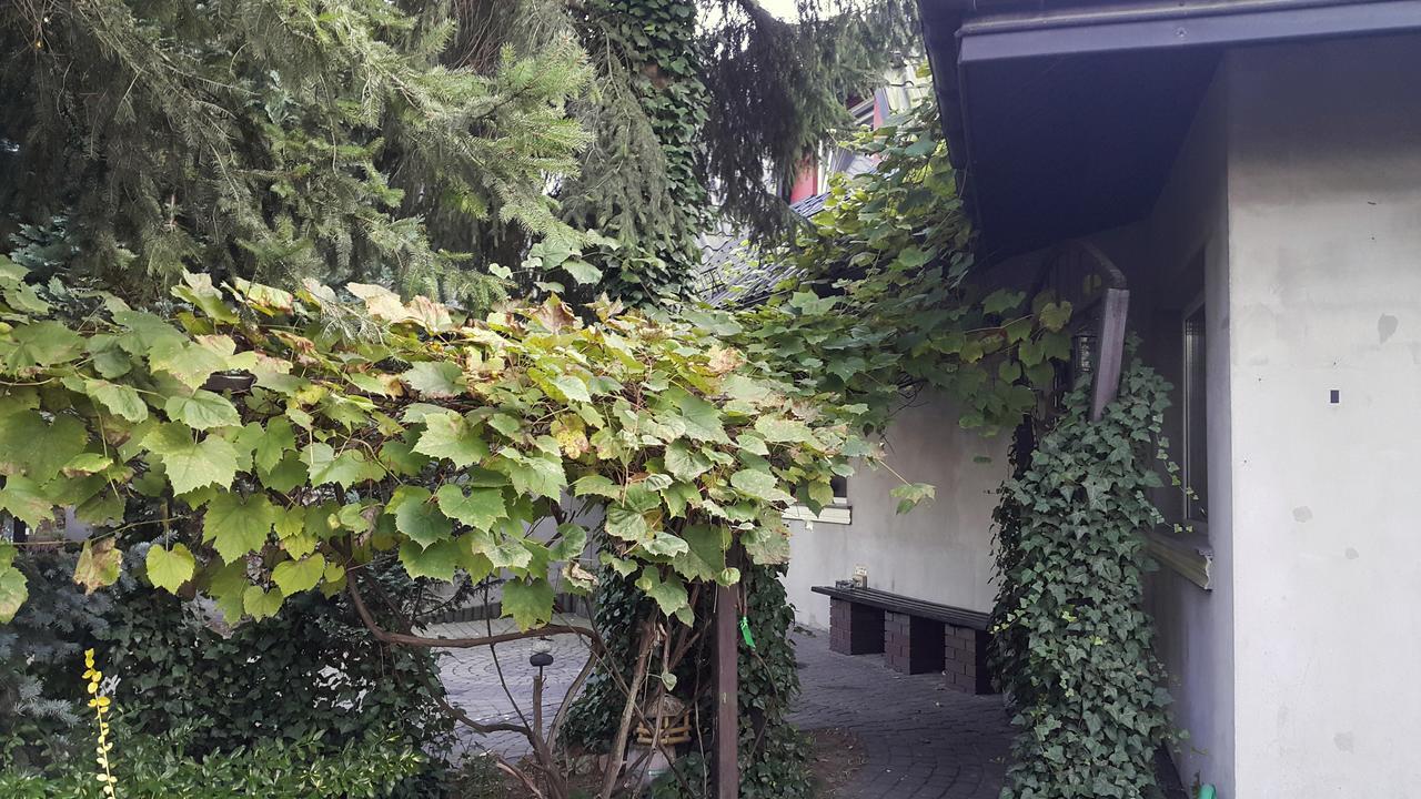 Pensjonat Europa Brzeziny Exterior foto